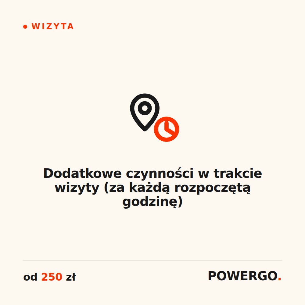 Dodatkowe czynności w trakcie wizyty (za każdą rozpoczętą godzinę)
